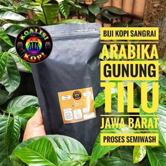 

Biji Kopi Arabika Gunung Tilu Jawa Barat Proses Semi Wash, Profil Roasting Medium, Cocok Untuk Manual V6, Tubruk, Espresso, Kopi Susu, Berat 250gram