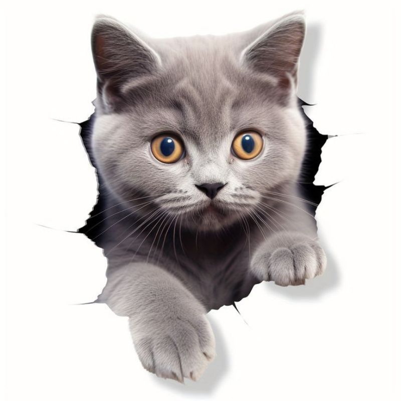 

stiker kucing lucu 3d size 15x20 cm