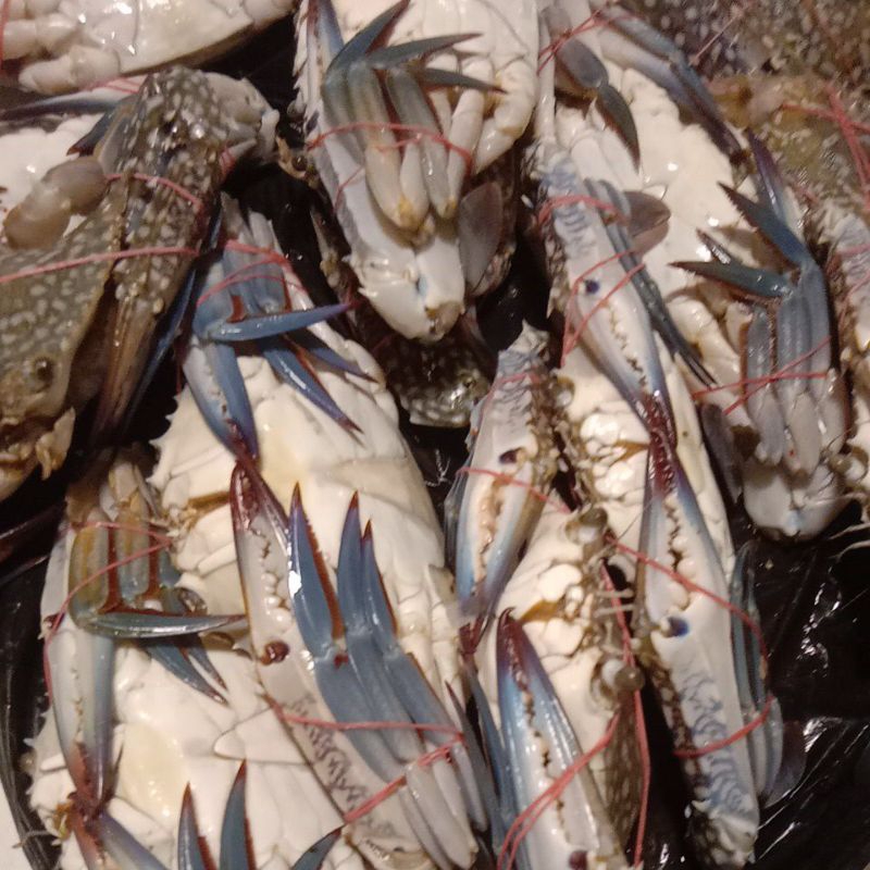 

kepiting rajungan segar 500gram
