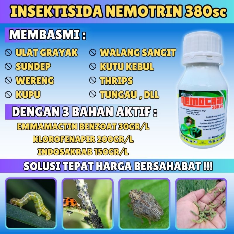 Nemotrin 380sc ,Insektisida sistemik 250ml Pembasmi Hama Paling Ampuh dan Efektif