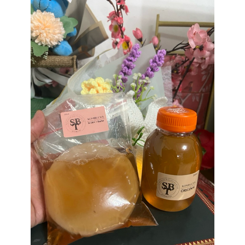 

RB Scoby Kombucha Premium + Starter Kuat 100 ML