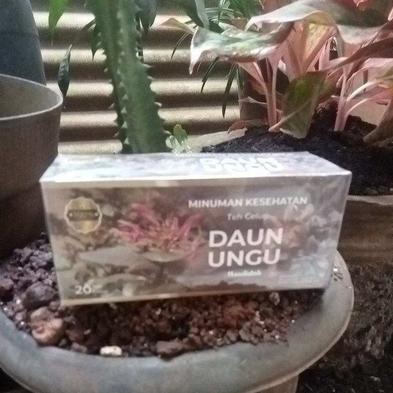 

Teh Celup Daun Ungu/Teh herbal daun ungu isi 20 pcs