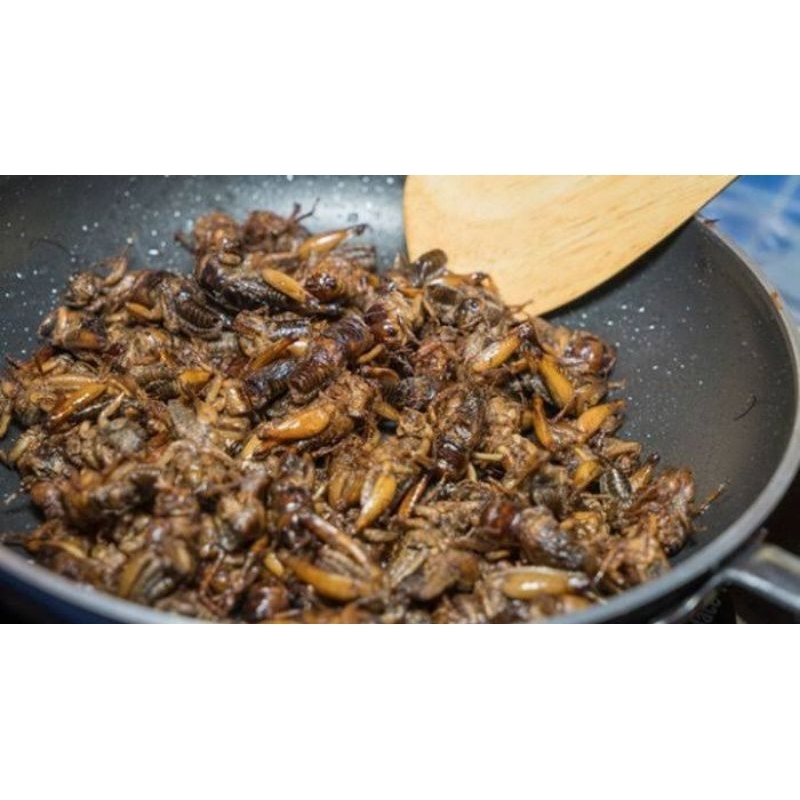 

Jangkrik Goreng