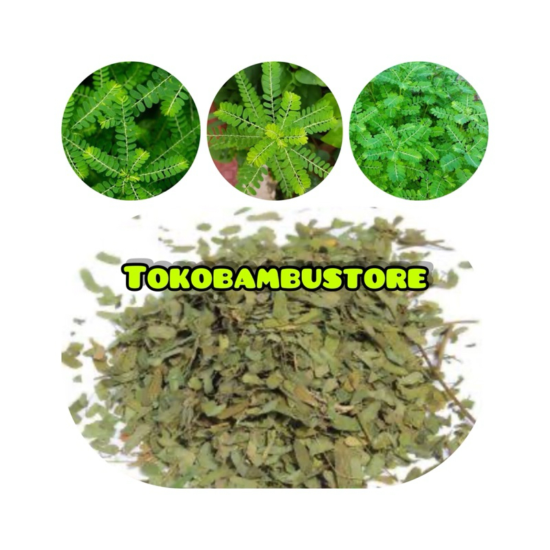 

Daun meniran kering Murni daun tanpa batang-az