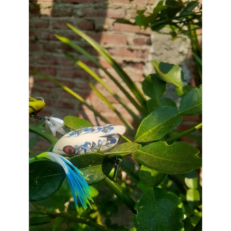 sofrog killer langsing 4,4cm