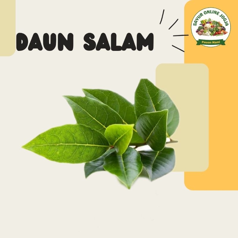 

Daun salam perikat - PAWON MAMI SAYUR ONLINE JOGJA