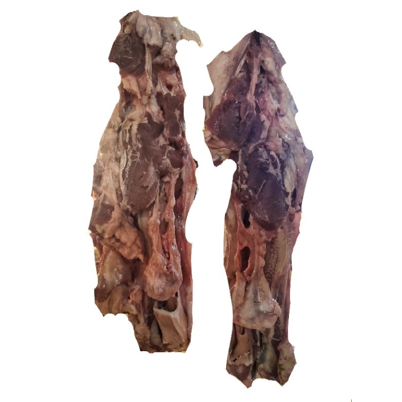 

DAGING KEPALA SAPI LOKAL 500G-1KG