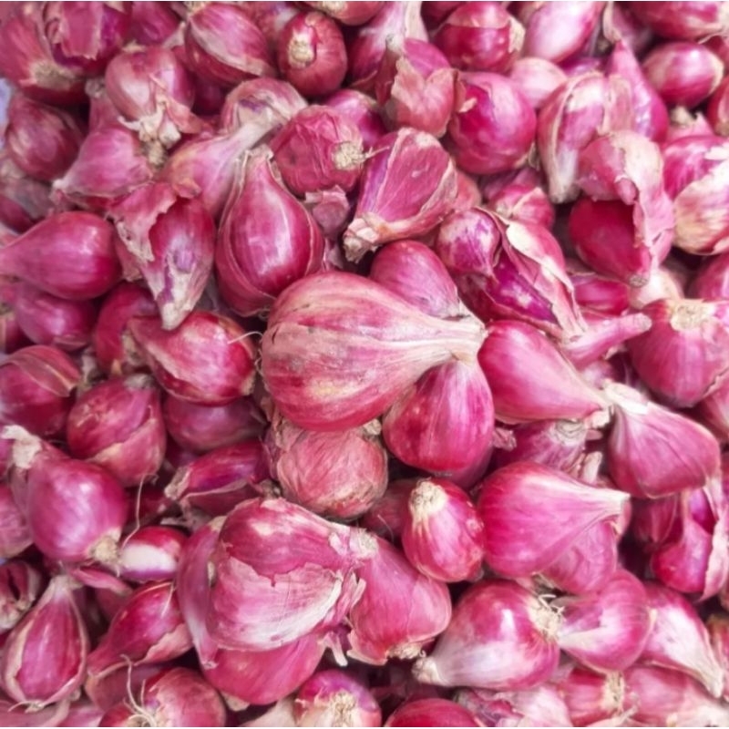 

500 Gr Bawang Merah Lokal Jawa Caruk Kering Bersih Campur Besar Gedhe Super Sedang Kecil Awet Tidak Busuk Bamer Brambang Baput Bawang Putih Bumbu Masak Dapur Sedap Seasoning