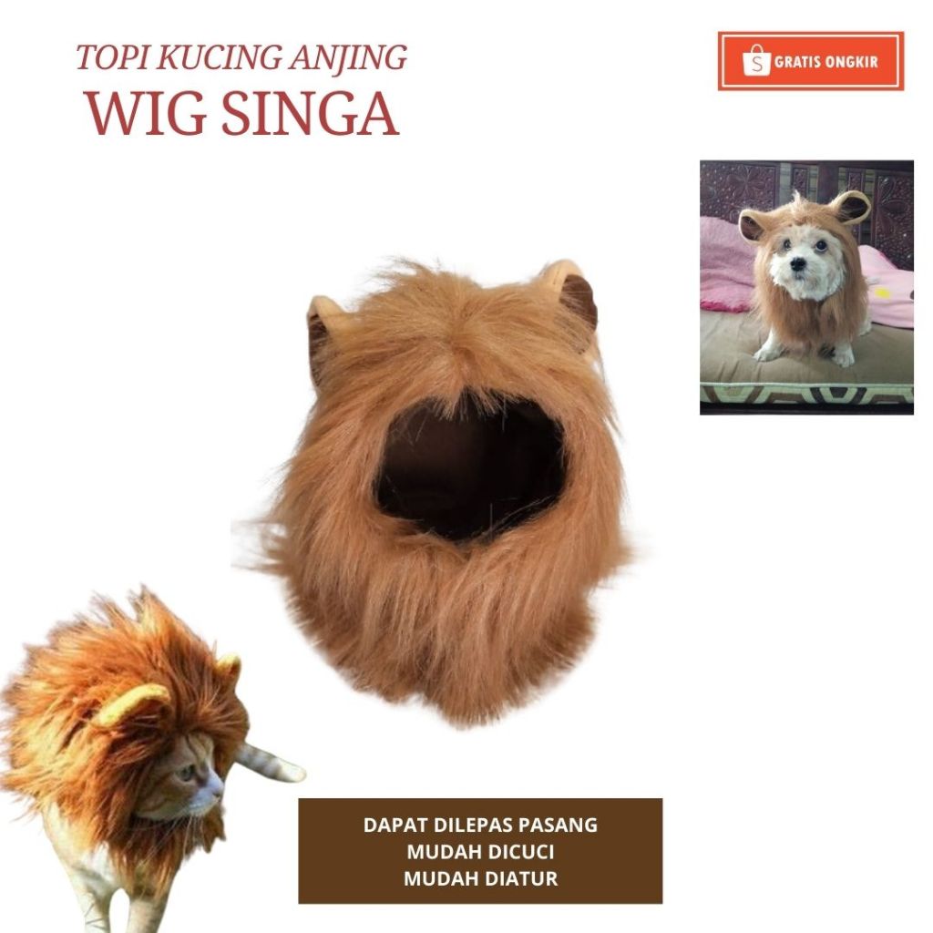 Topi Kucing & Anjing WIG SINGA Super Lucu