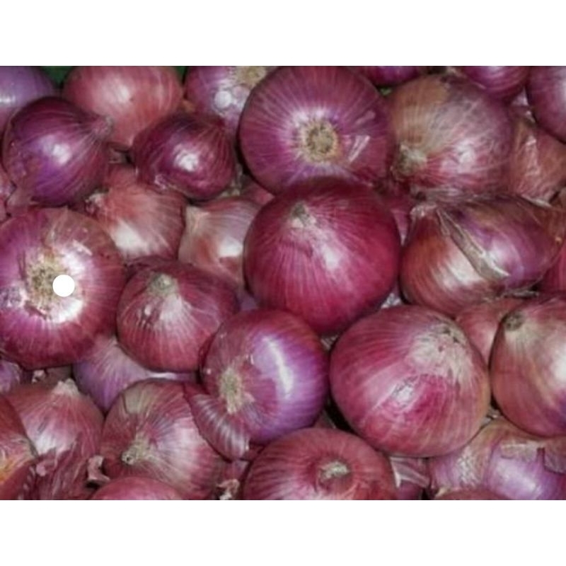 

BAWANG MERAH PEDAS BESAR ASlI BOYOLALI 500 gram