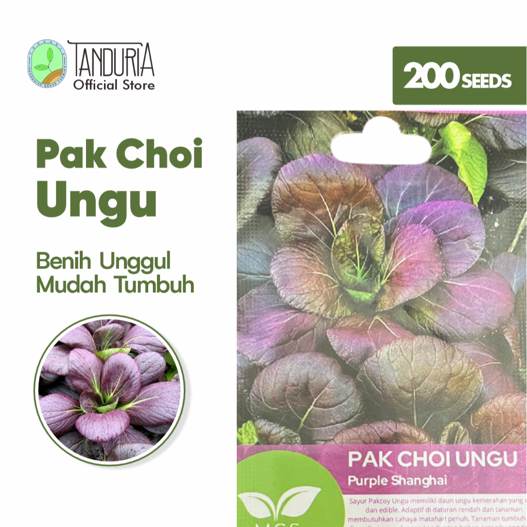 TANDURIA - Benih Pokcoy Ungu  Sayur Pak Choi Purple Mix Garden Seed Bibit Biji Sayuran