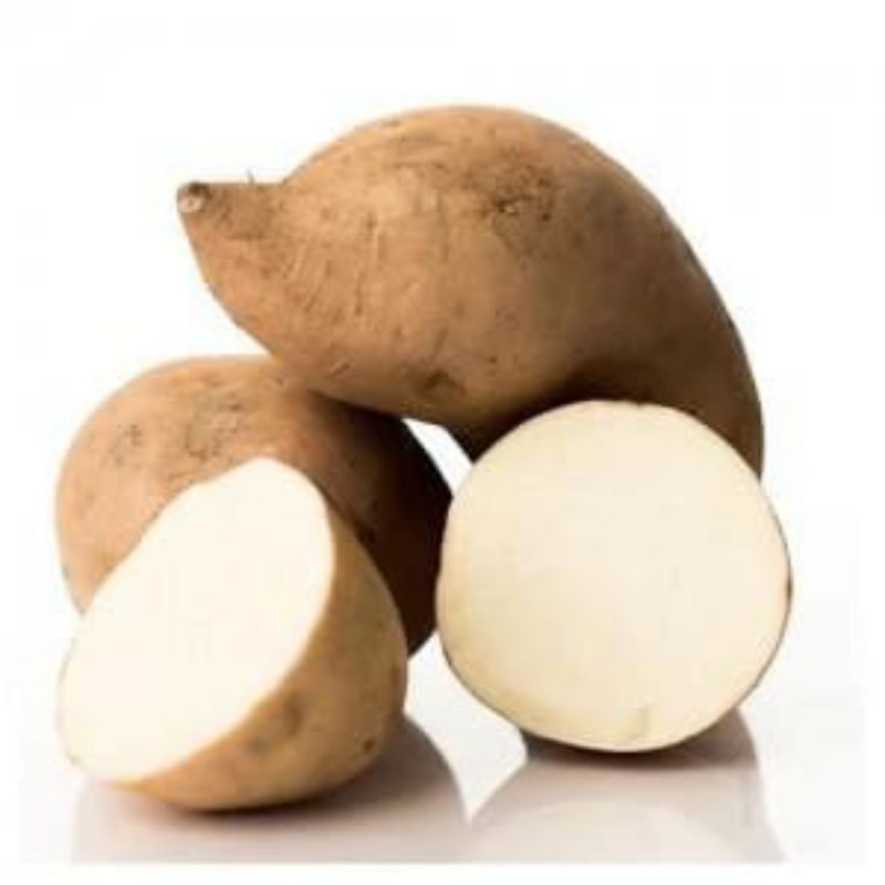 

Ubi Putih 1 kg
