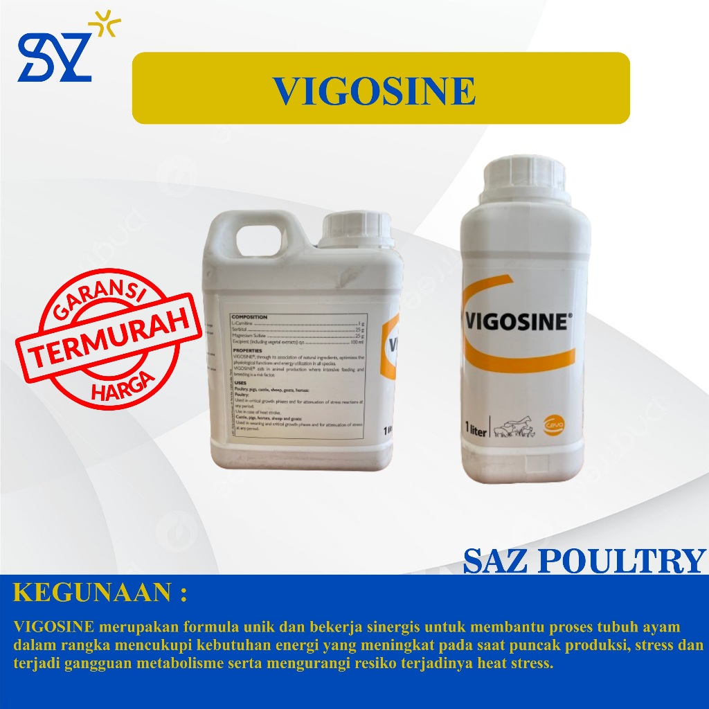 Vigosine 1 Liter Mencukupi Meningkatkan Performa dan Produktifitas Ayam