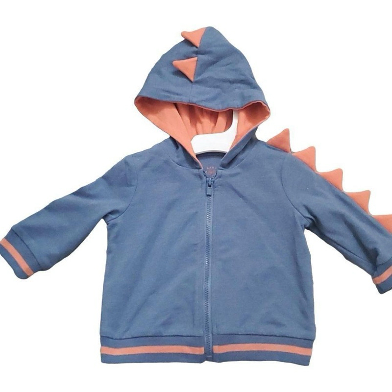 Jaket hoodie dinosaurus jaket anak motif karakter dino