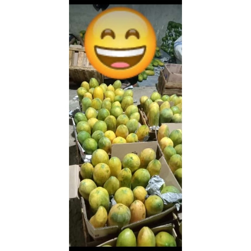 

pepaya CF