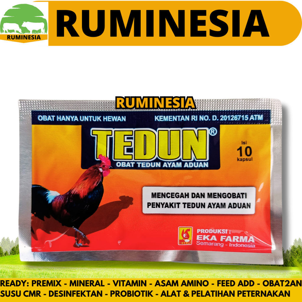 TEDUN 10 KAPSUL EKA FARMA - Obat Ayam Aduan Turun Urat Ayam Pincang Obat Kaki Ayam Turun Urat Bengka