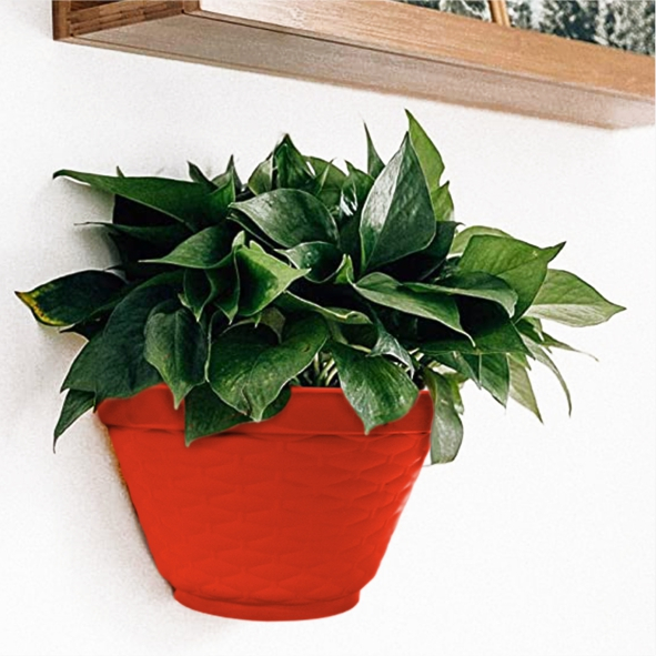 Sekar_Jenaka Lucky Star - Pot Bunga Tempel Dahlia 20 / Pot Bunga Hias / Pot Tanaman /Berkebun