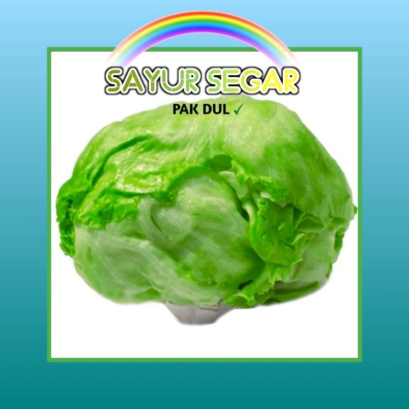 

selada lettuce ice berg +-200gr