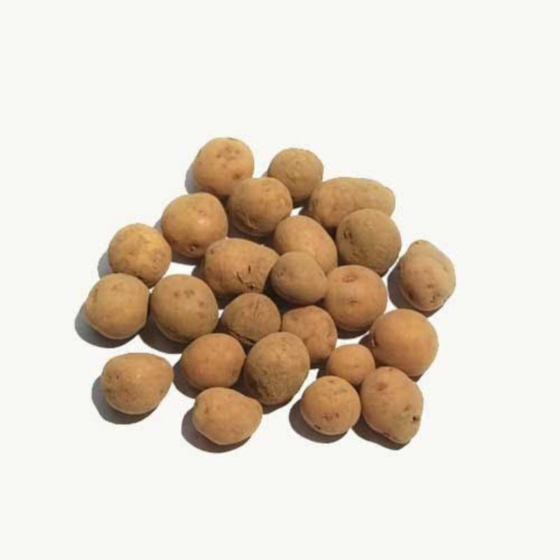 

Kentang Rendang/Kentang Kecil (Sayuran Segar)