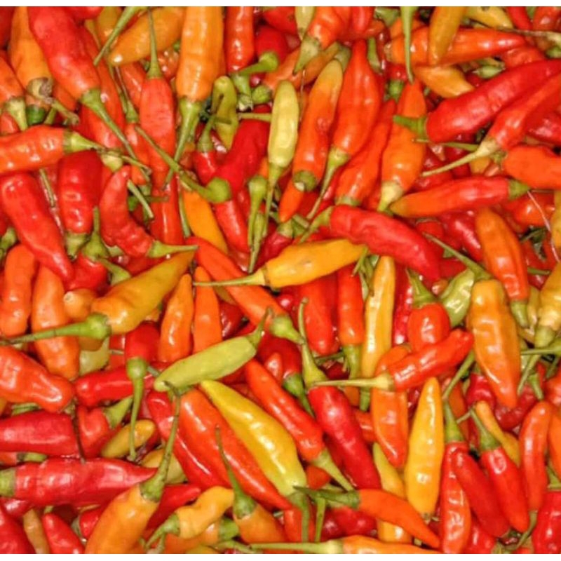 

cabe rawit merah 250gr