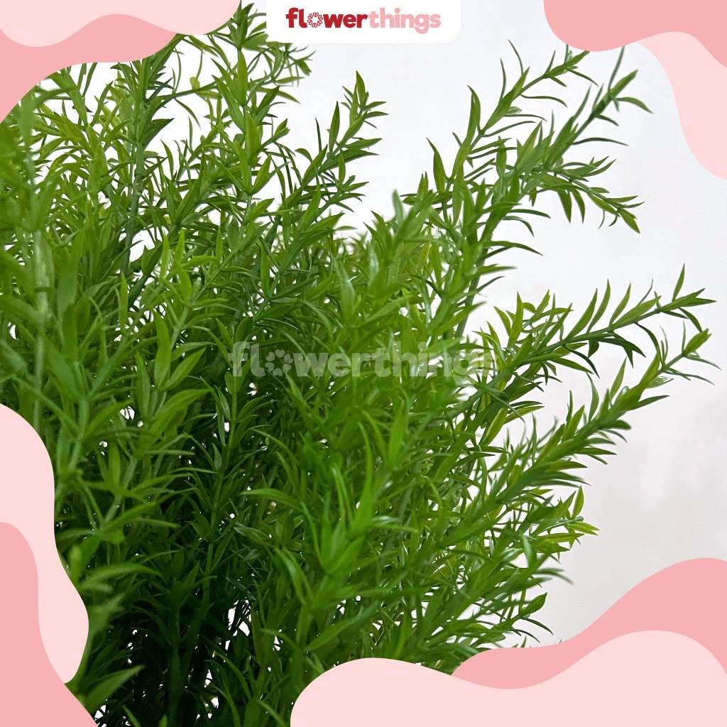 ROSEMARY LEAVES - DAUN ARTIFICIAL / PALSU / BUATAN BAHAN PLASTIK