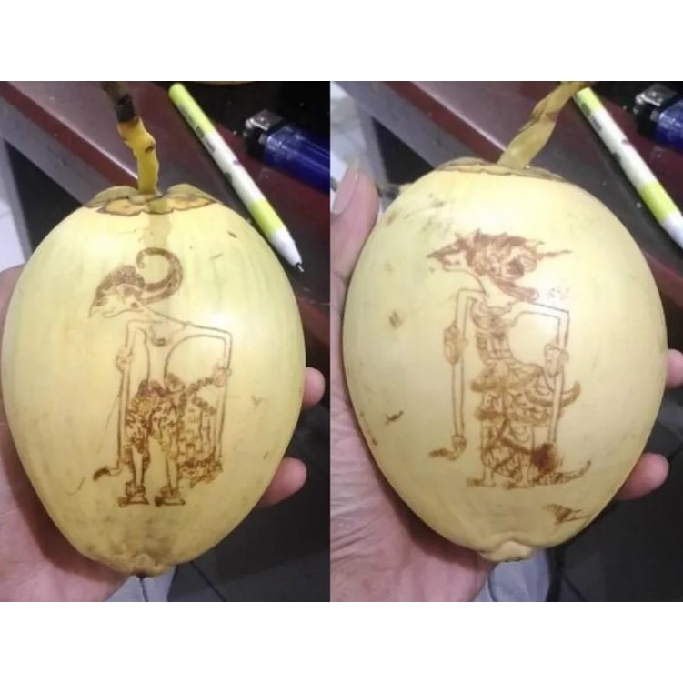 

2 biji kelapa cengker kelapa untuk mitoni acara tujuh bulanan