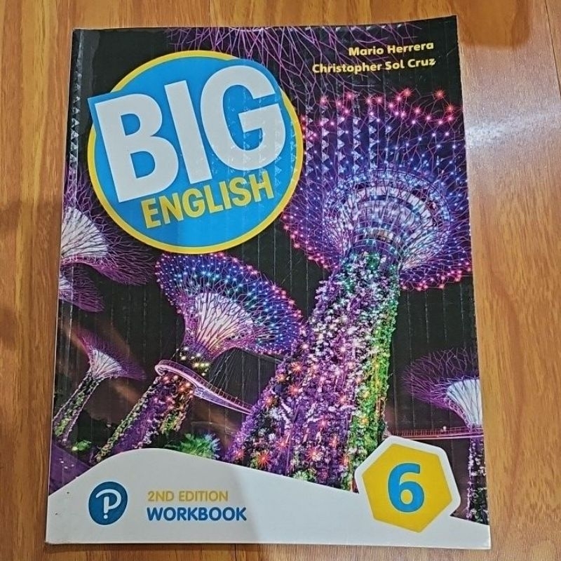 Big English 6 (2nd edition) WORKBOOK