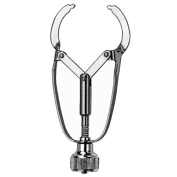 dental carl martin ivory matrix 584