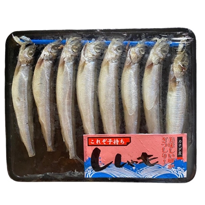 

Shisamo Fish Import Murah Bergizi Tinggi