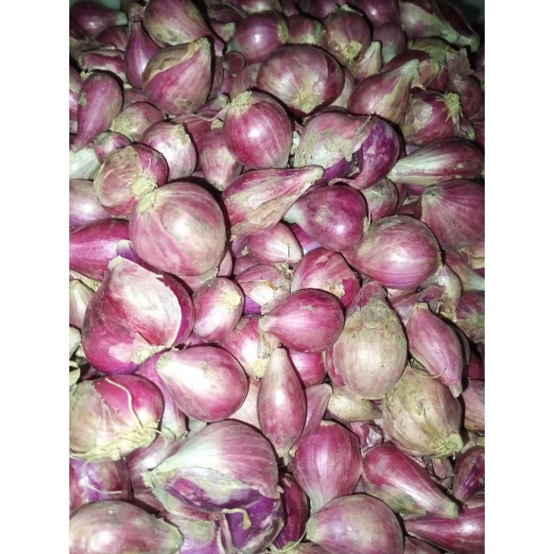 

bawang merah 1 kg