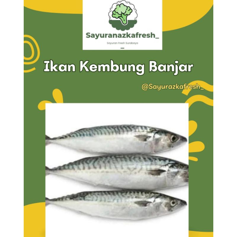 

ikan Kembung Banjar