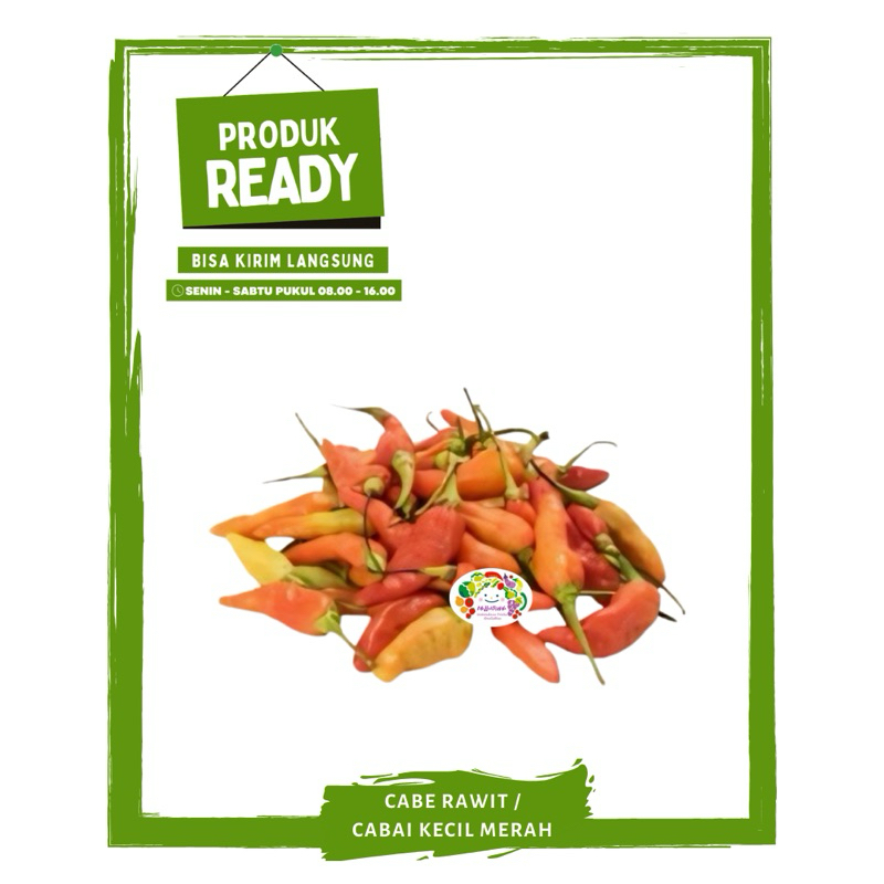 

Cabe Rawit / Cabai Kecil Merah / Sayur Sayuran Segar Ready On Mallahrizwa