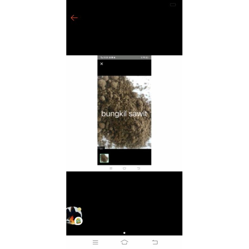 bungkil sawit pakan ternak