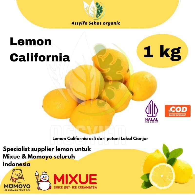 

Lemon California Fresh 1kg | Untuk Diet Detox | Kualitas Terbaik | By Assyifa Sehat Organic