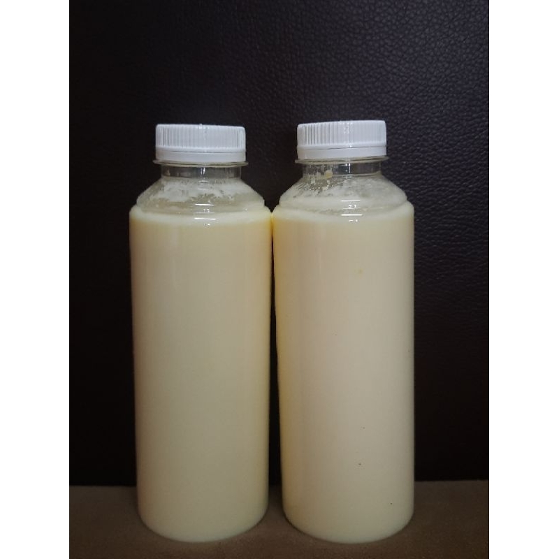 KRAMAT - Kefir Kolostrum Sapi 250 ml Termurah & Berkualitas