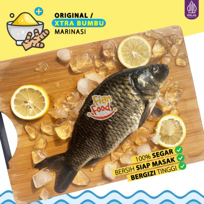 

ikan Mas 500gr