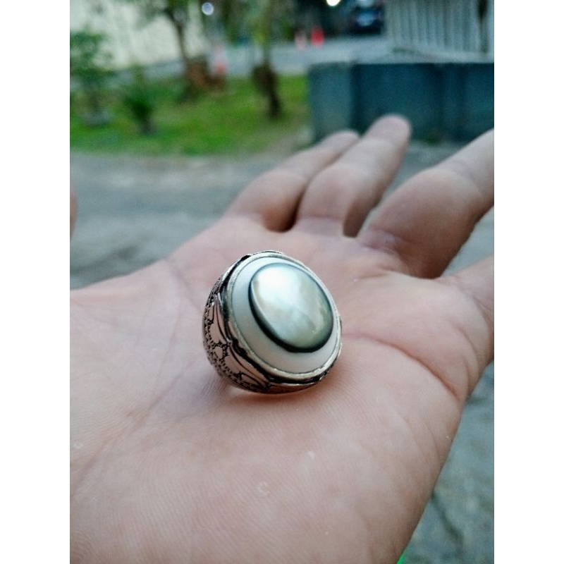 NATURAL ABALONE SHELL/MATA IKAN