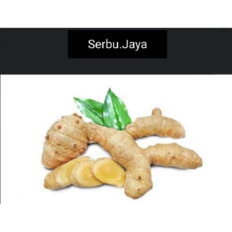 

KUNYIT PUTIH ASLI 500 gram