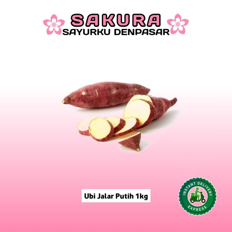 

Ubi Jalar Putih - SAKURA