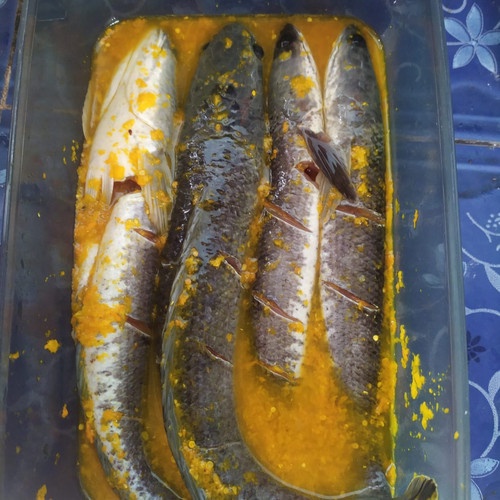 

Termurah Ikan Gabus Bumbu Kuning 5 Gram Bawang Bagus
