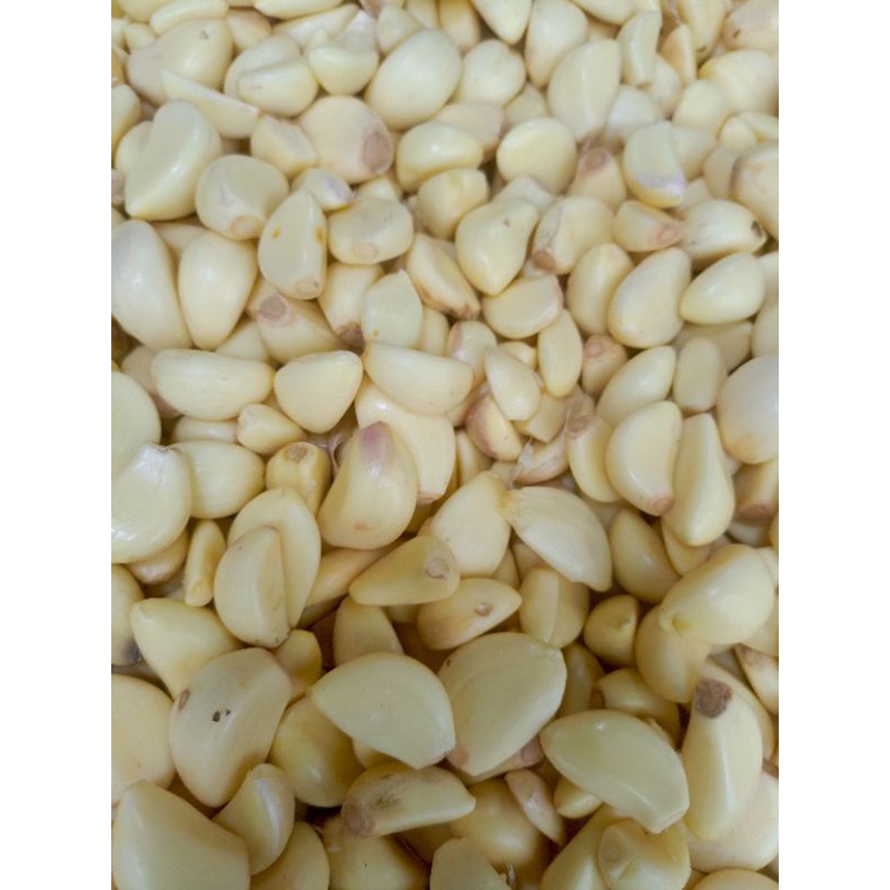 

bawang putih kupas 100gram