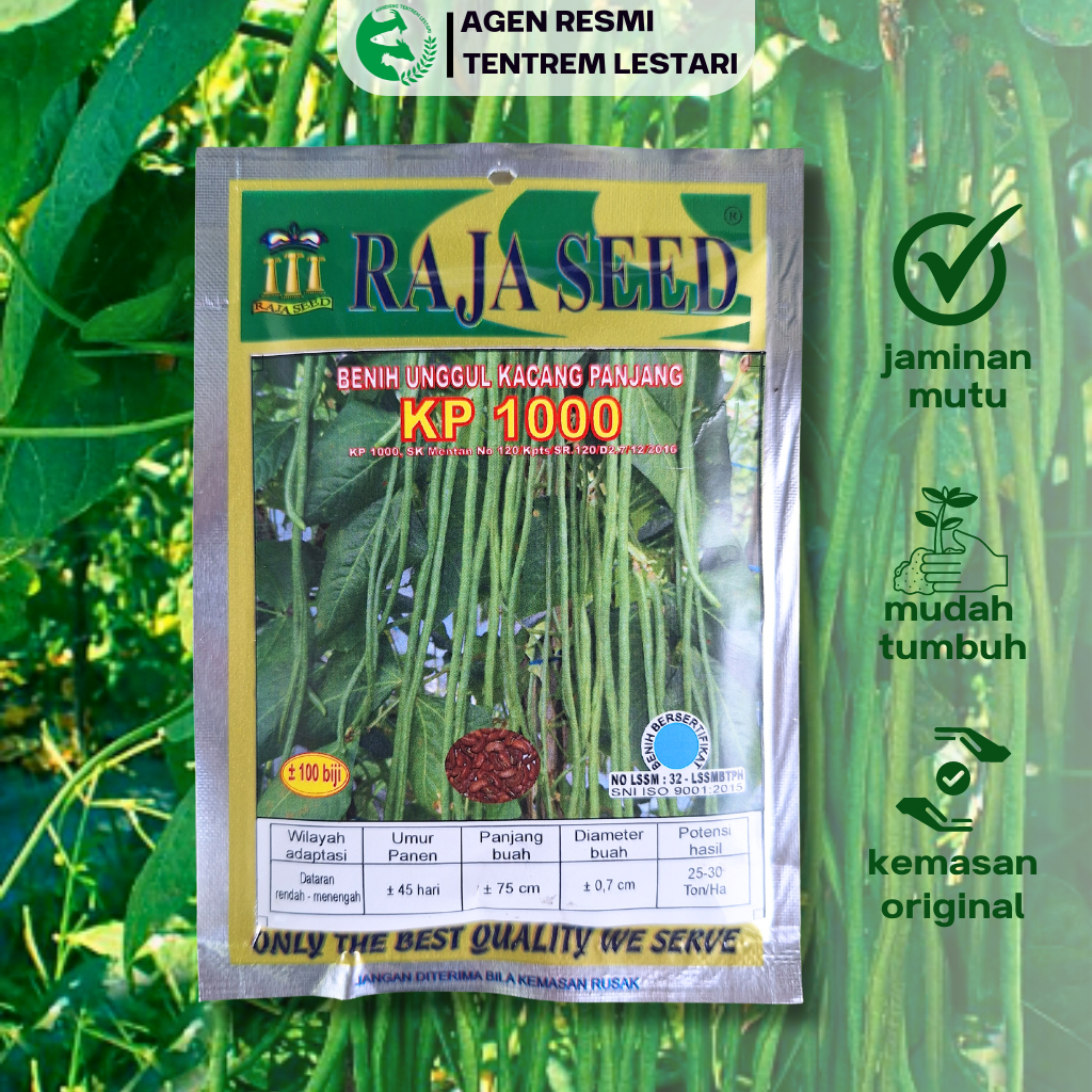 Benih Kacang Panjang KP 1000 100 gram Cap RAJA SEED Unggul & Tahan Serangan Virus