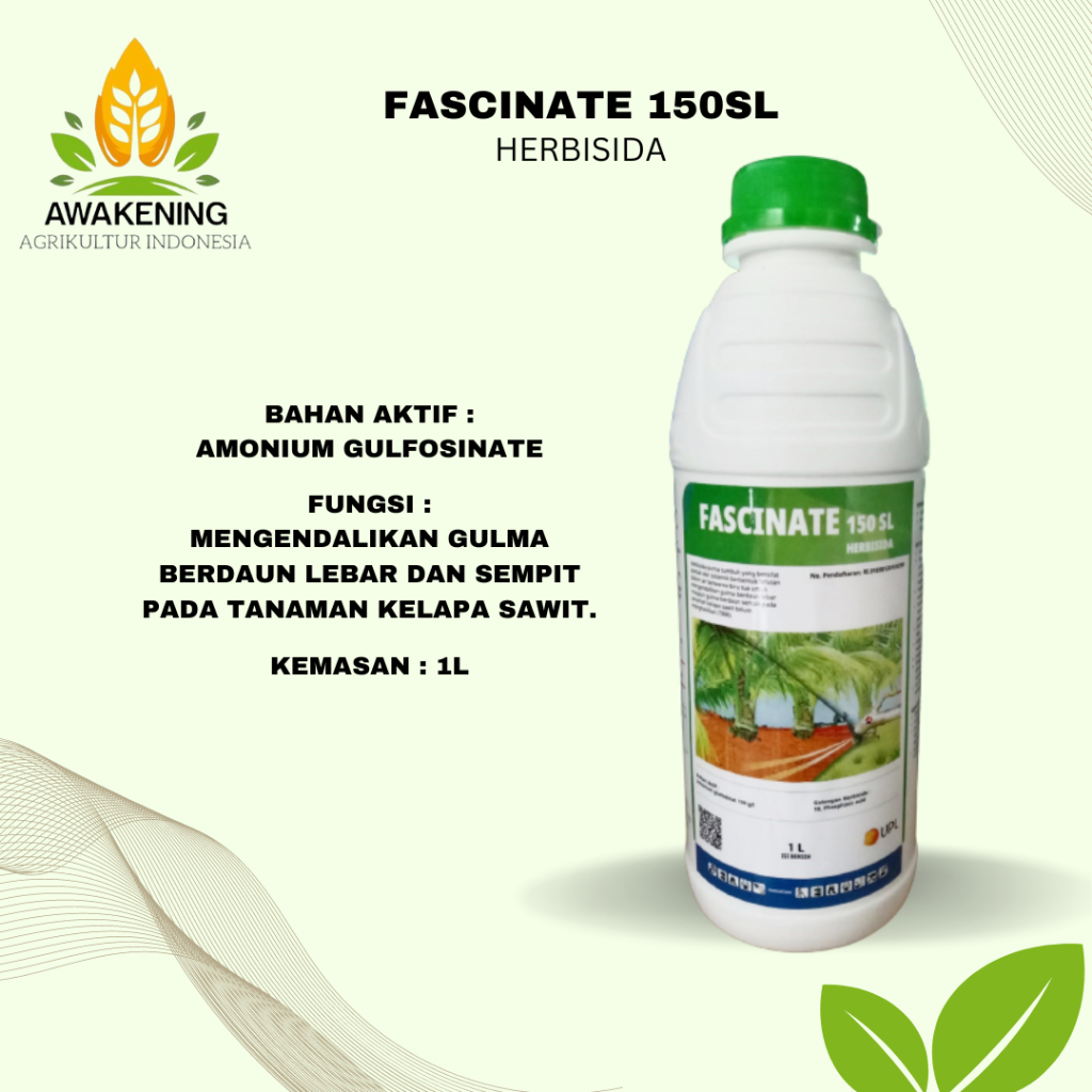 FASCINATE 150SL 1LT HERBISIDA RUMPUT MEMBANDEL DAUN LEBAR DAN SEMPIT