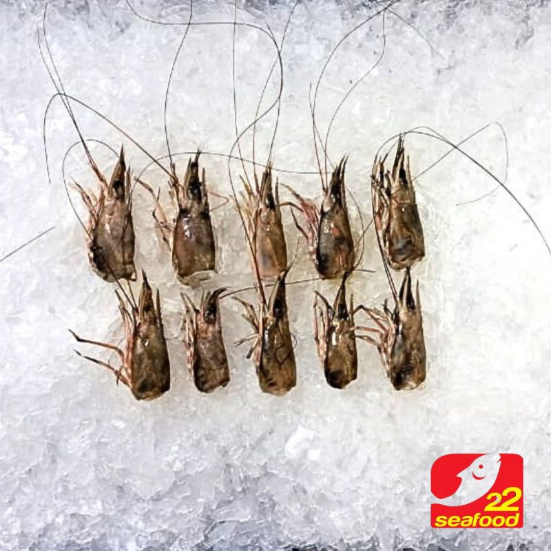 

Kepala Udang Beku 1 kg / Seafood 22
