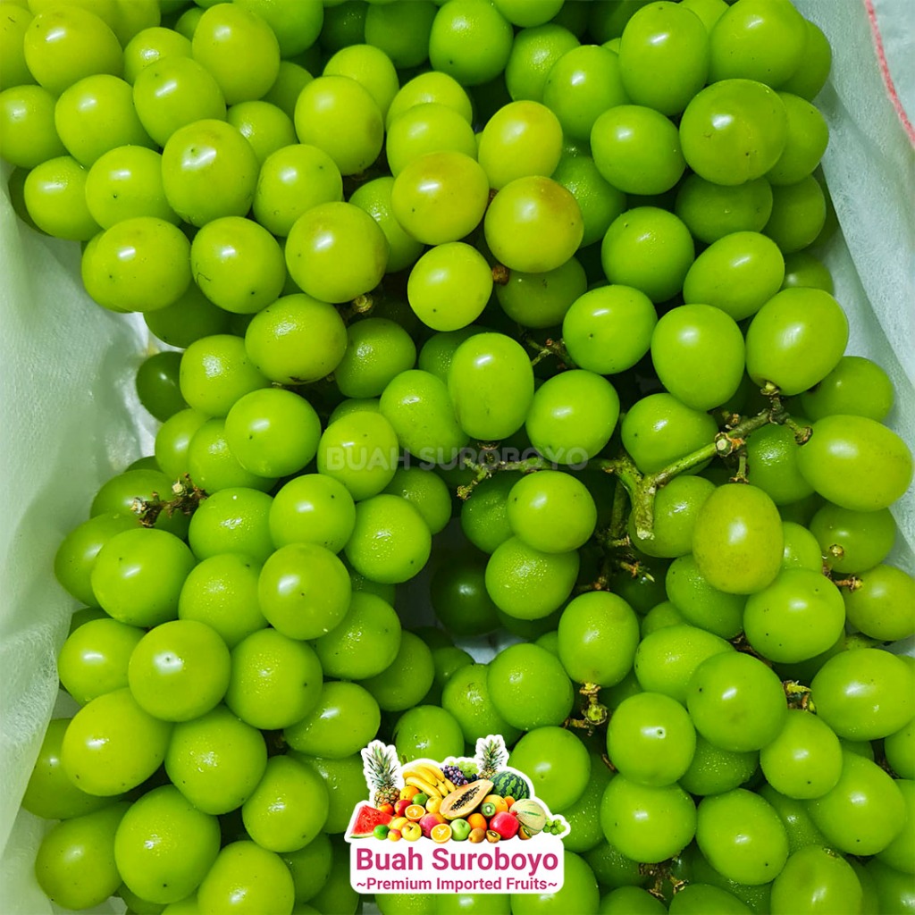 

Anggur Hijau Shine Muscat (Tanpa Biji)