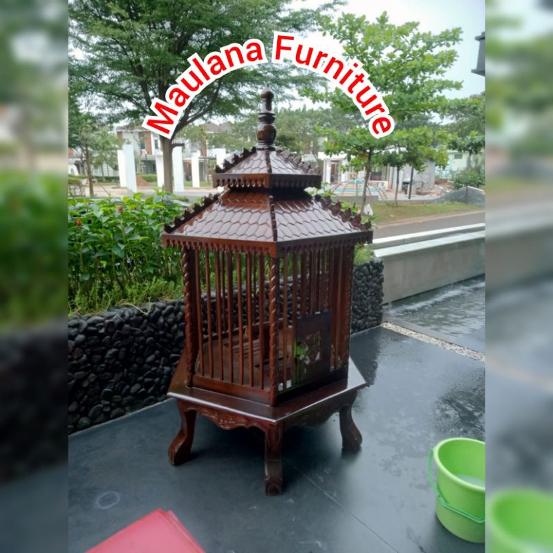 kandang ayam bangkok pelung bekisar sangkar burung beo