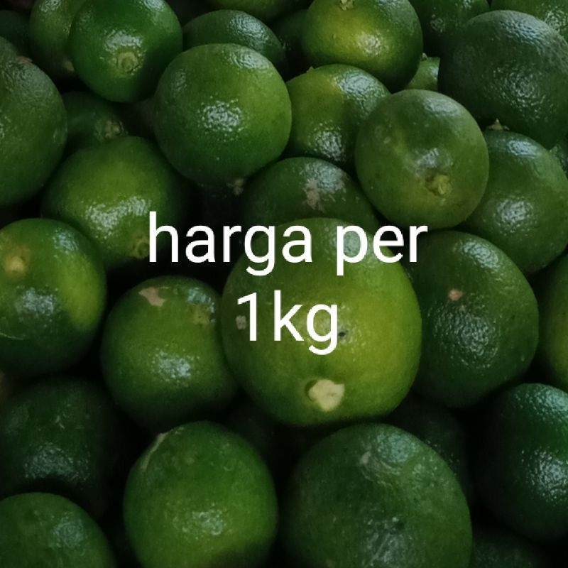 

1 kg jeruk kasturi/jeruk peras/jeruk songkit /lemon cui