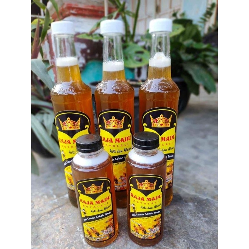 

madu lebah asli pohon karet murni 100% langsung dari petani