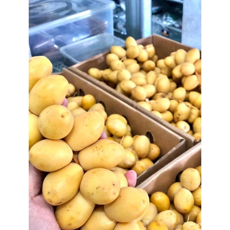 

Kurma Muda Barhi India (5 Kg)