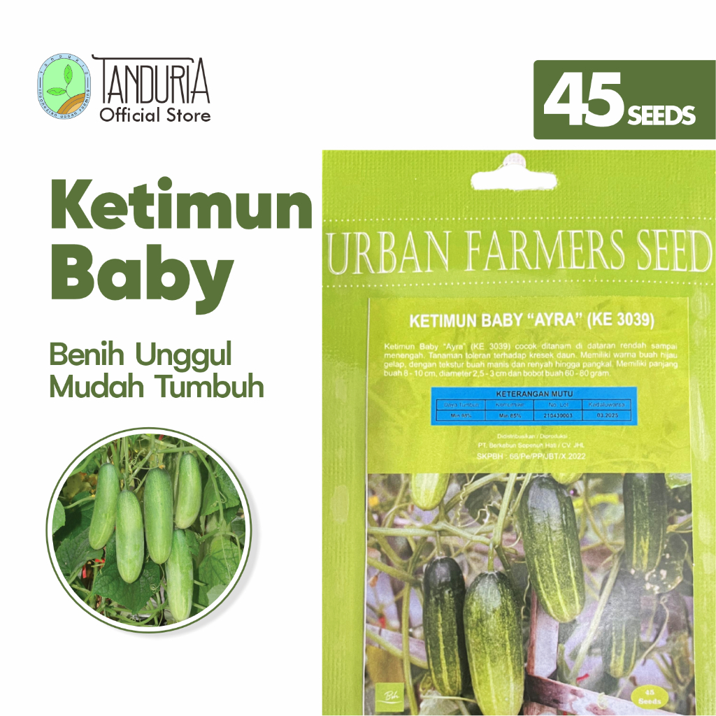 TANDURIA - Benih Buah Ketimun Baby by Urban Farmers Seed Bibit Biji Sayur Bunga  Sayuran